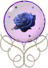 VOICI LA ROSE
